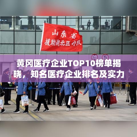 黄冈医疗企业TOP10榜单揭晓,知名医疗企业排名及实力解析