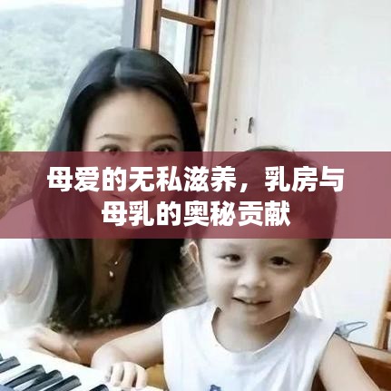 母爱的无私滋养，乳房与母乳的奥秘贡献