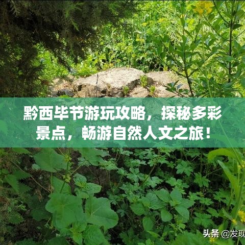 黔西毕节游玩攻略,探秘多彩景点,畅游自然人文之旅!