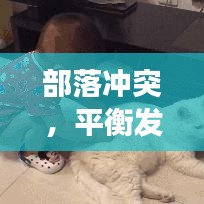 部落冲突,平衡发展,守护领地之道