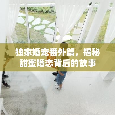 独家婚宠番外篇，揭秘甜蜜婚恋背后的故事