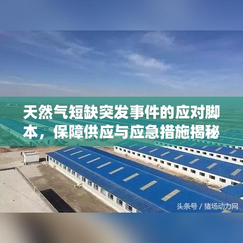 天然气短缺突发事件的应对脚本，保障供应与应急措施揭秘！