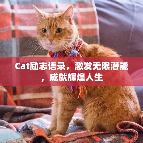 Cat励志语录,激发无限潜能,成就辉煌人生