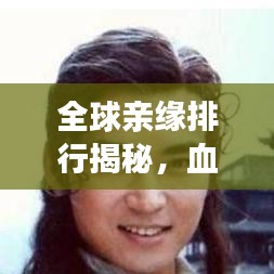 全球亲缘排行揭秘,血脉相连的情感羁绊与共鸣