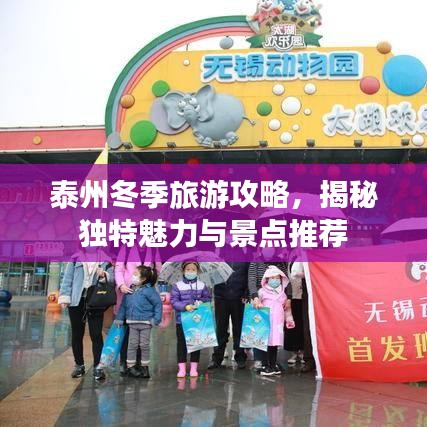 泰州冬季旅游攻略，揭秘独特魅力与景点推荐