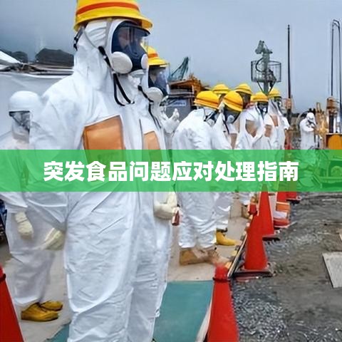 突发食品问题应对处理指南