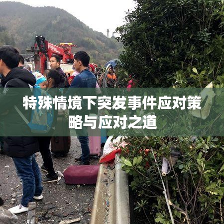 特殊情境下突发事件应对策略与应对之道