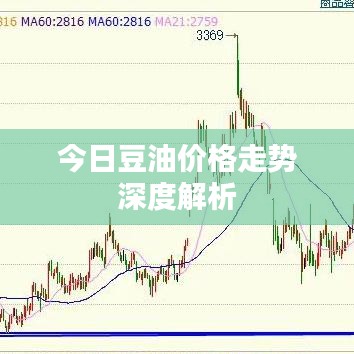 今日豆油价格走势深度解析