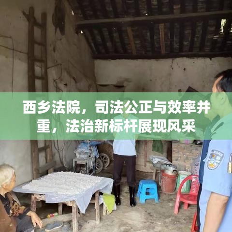 西乡法院，司法公正与效率并重，法治新标杆展现风采