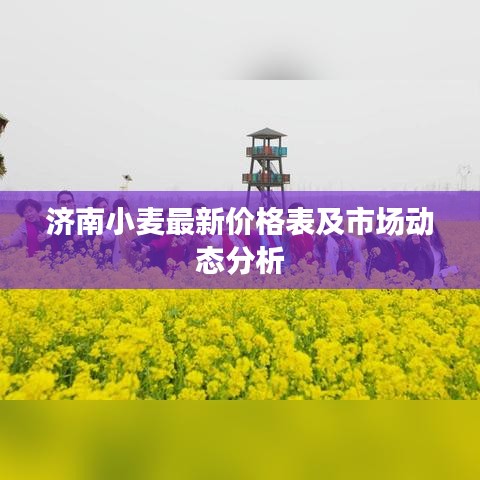 济南小麦最新价格表及市场动态分析