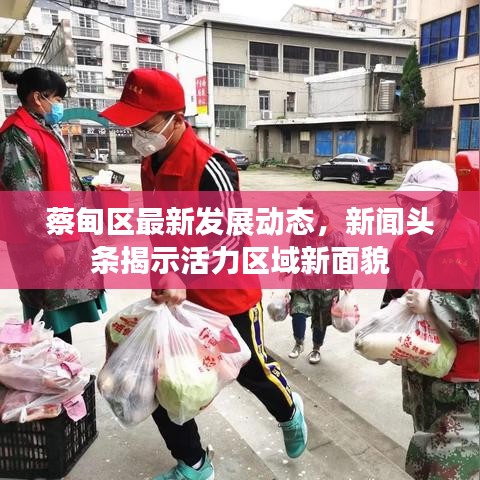 蔡甸区最新发展动态，新闻头条揭示活力区域新面貌