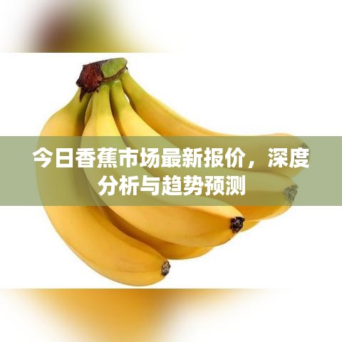 今日香蕉市场最新报价,深度分析与趋势预测