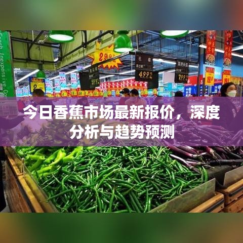 今日香蕉市场最新报价,深度分析与趋势预测
