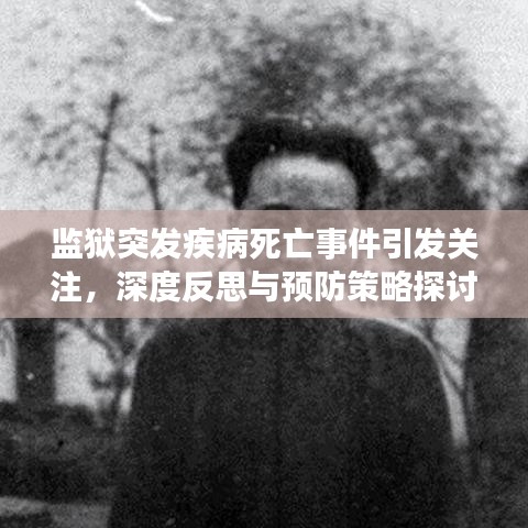 监狱突发疾病死亡事件引发关注,深度反思与预防策略探讨