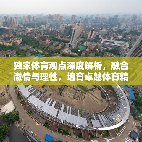 独家体育观点深度解析,融合激情与理性,培育卓越体育精神