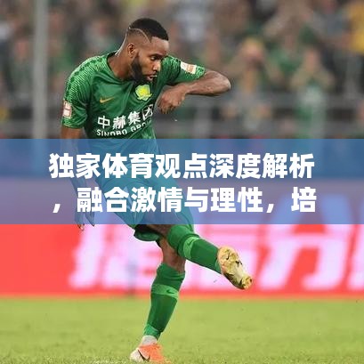 独家体育观点深度解析,融合激情与理性,培育卓越体育精神