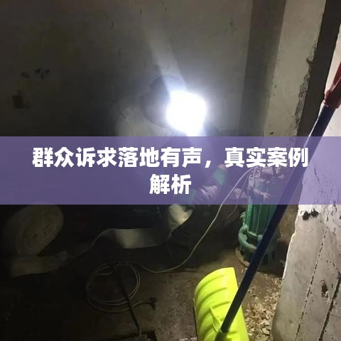 群众诉求落地有声,真实案例解析