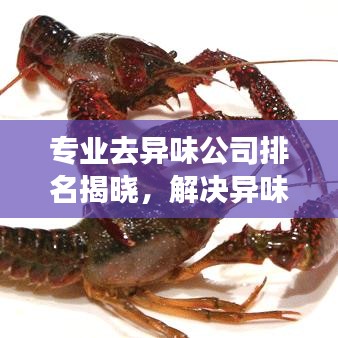 专业去异味公司排名揭晓，解决异味问题的行业佼佼者