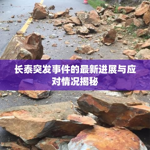 长泰突发事件的最新进展与应对情况揭秘