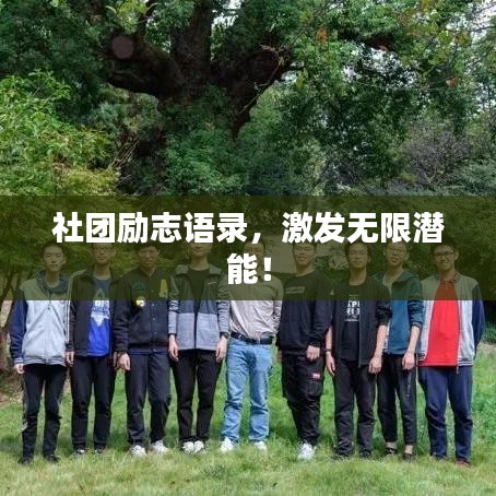 社团励志语录,激发无限潜能!