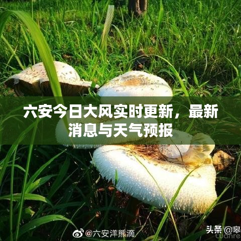 六安今日大风实时更新，最新消息与天气预报