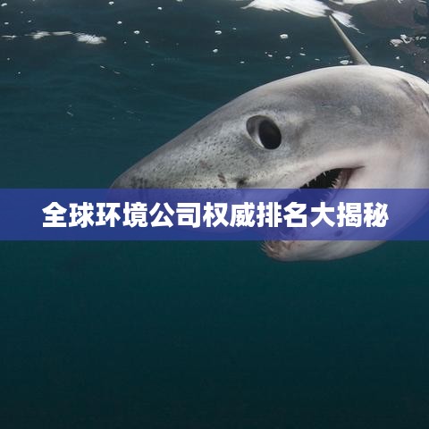 全球环境公司权威排名大揭秘