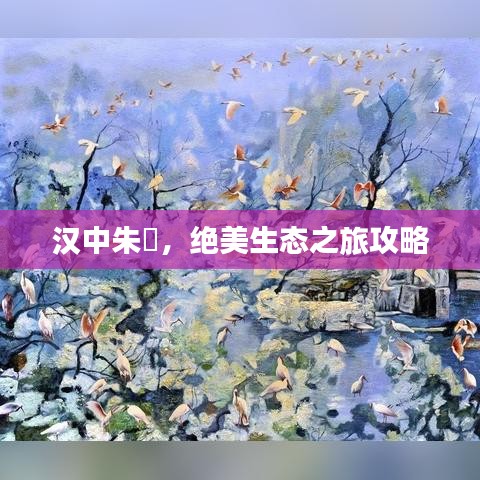 汉中朱鹮,绝美生态之旅攻略