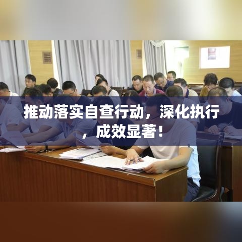 推动落实自查行动，深化执行，成效显著！