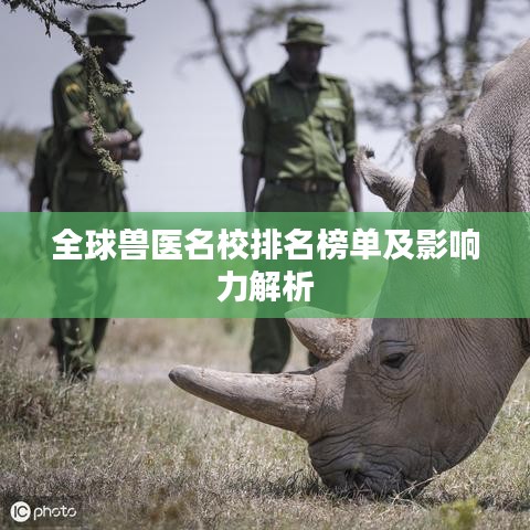 鸢飞戾天 第6页