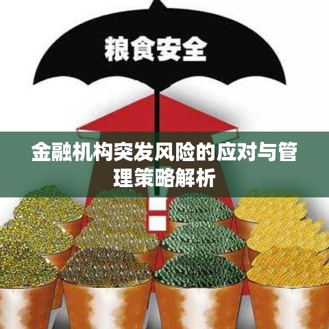 金融机构突发风险的应对与管理策略解析