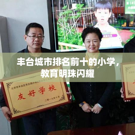 丰台城市排名前十的小学，教育明珠闪耀