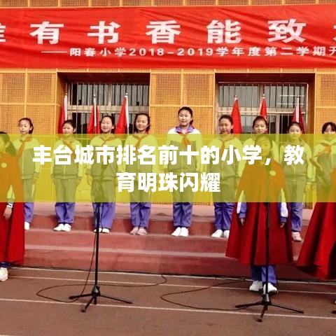 丰台城市排名前十的小学,教育明珠闪耀