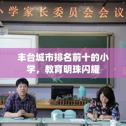 丰台城市排名前十的小学,教育明珠闪耀