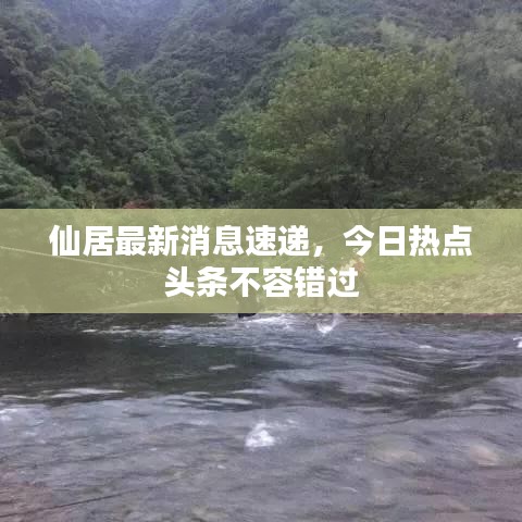 仙居最新消息速递,今日热点头条不容错过