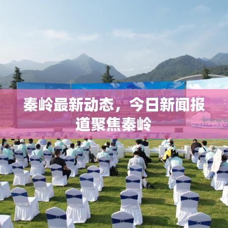 秦岭最新动态，今日新闻报道聚焦秦岭