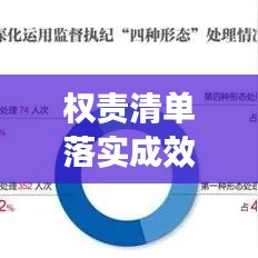 权责清单落实成效汇总,深化责任担当,推动工作新进展