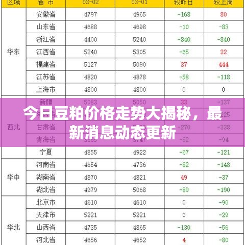 今日豆粕价格走势大揭秘,最新消息动态更新