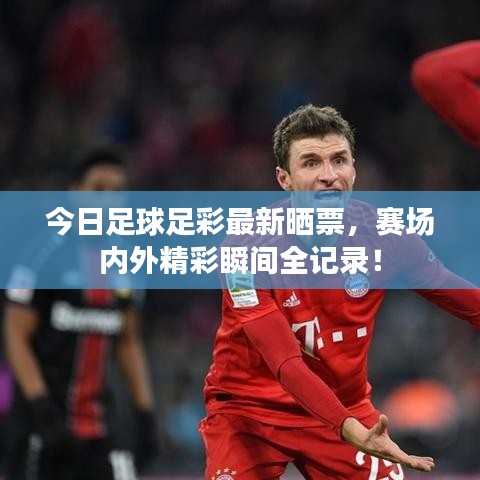 今日足球足彩最新晒票,赛场内外精彩瞬间全记录!