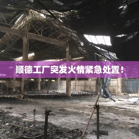 顺德工厂突发火情紧急处置！
