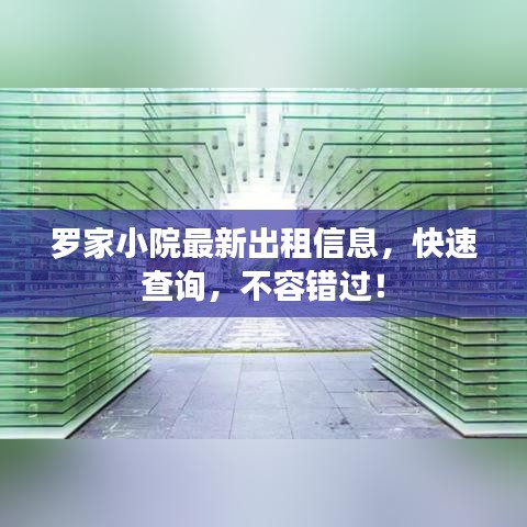 罗家小院最新出租信息，快速查询，不容错过！