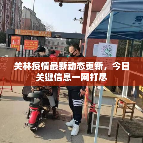 关林疫情最新动态更新,今日关键信息一网打尽