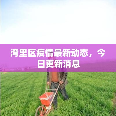 湾里区疫情最新动态，今日更新消息