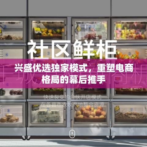 兴盛优选独家模式,重塑电商格局的幕后推手