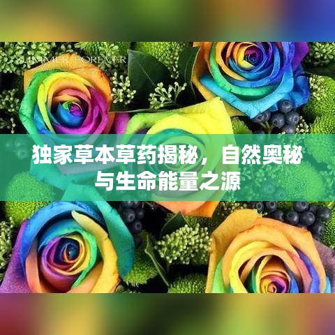 独家草本草药揭秘,自然奥秘与生命能量之源
