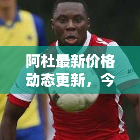 阿杜最新价格动态更新,今日行情一览