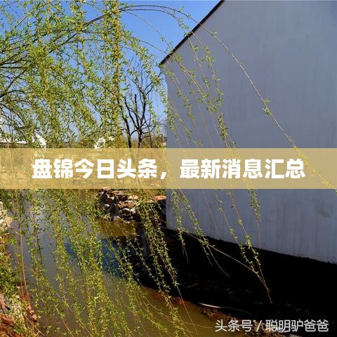 盘锦今日头条,最新消息汇总