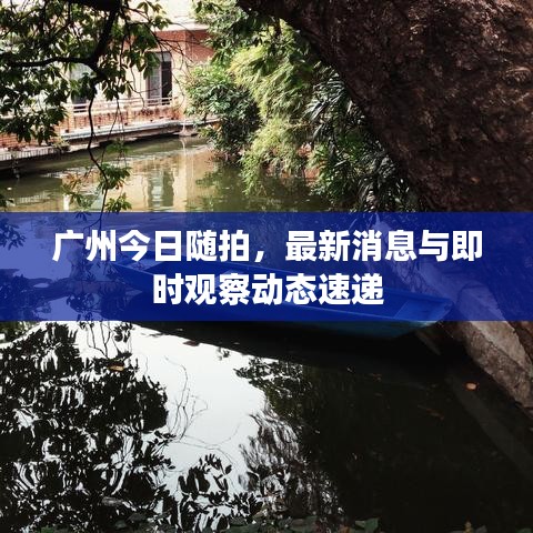广州今日随拍,最新消息与即时观察动态速递