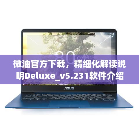 微油官方下载,精细化解读说明Deluxe_v5.231软件介绍