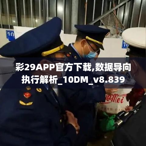 彩29APP官方下载,数据导向执行解析_10DM_v8.839
