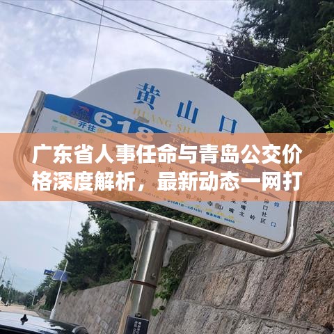 广东省人事任命与青岛公交价格深度解析,最新动态一网打尽